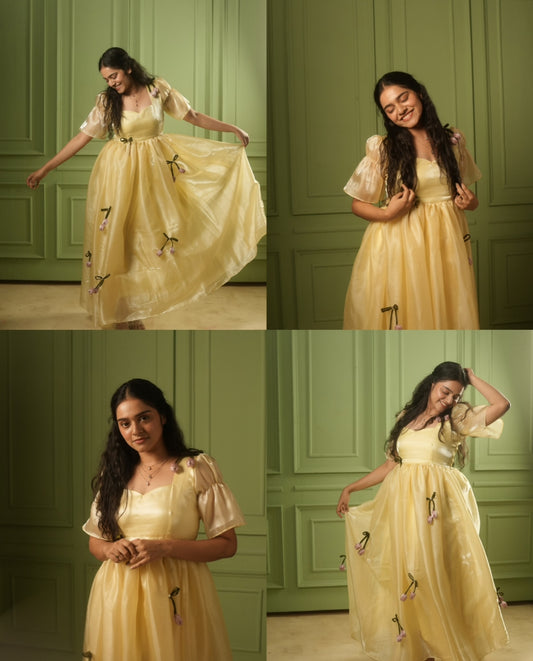 Princess Belle Dress
