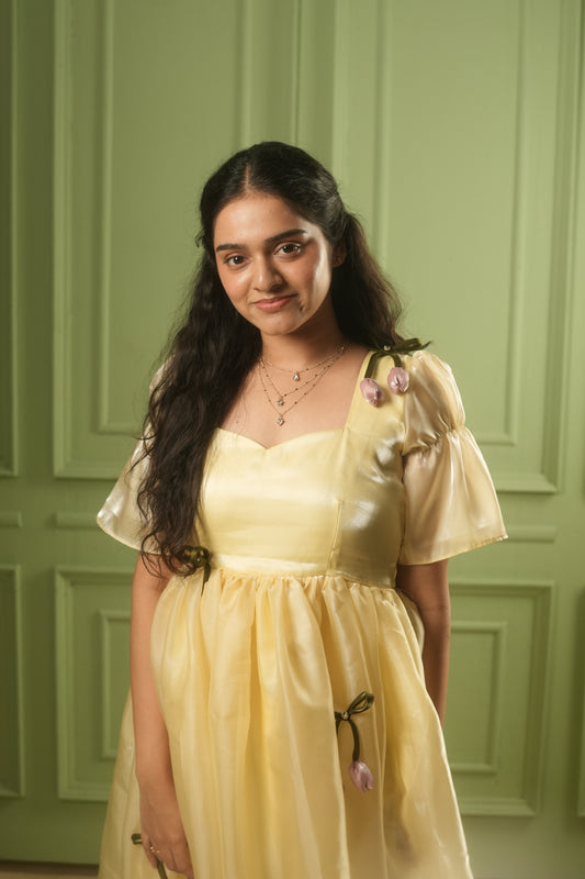 Princess Belle Dress